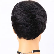 Pixie Cut Wig for Black Women Full Machine Water Wave Wigs Peruvian Short Curly Bouncy Human Hair Wigs