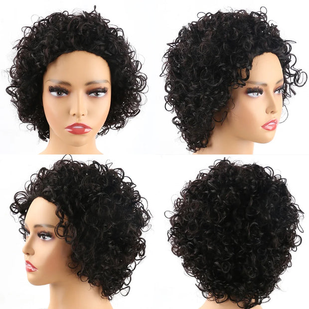 Pixie Cut Wig Human Hair Short Curly Human Hair Wigs For Black Women Cheap Human Hair Wig Full Machine Glueless Curly Wig Hair