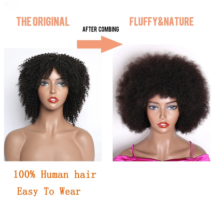 Mongolian Afro Kinky Curly Human Hair Wigs Short Pixie Curl 150% Density Hair Remy4B 4C Brazilian Hair Wigs Full Machine Made